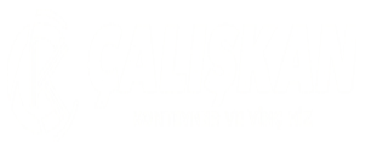Çalışkan Vinç Konteyner